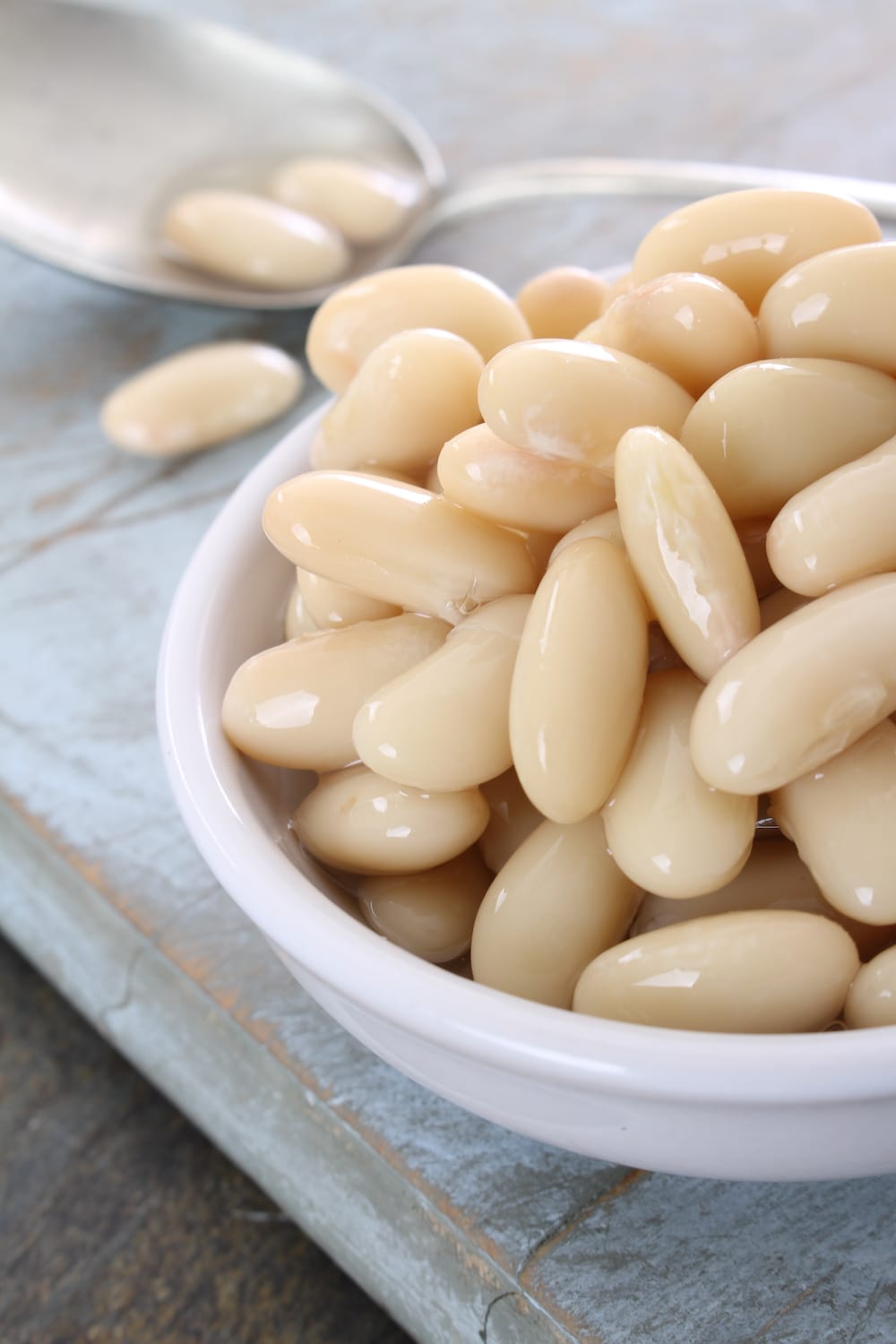 Cooked white cannellini beans in a dish.