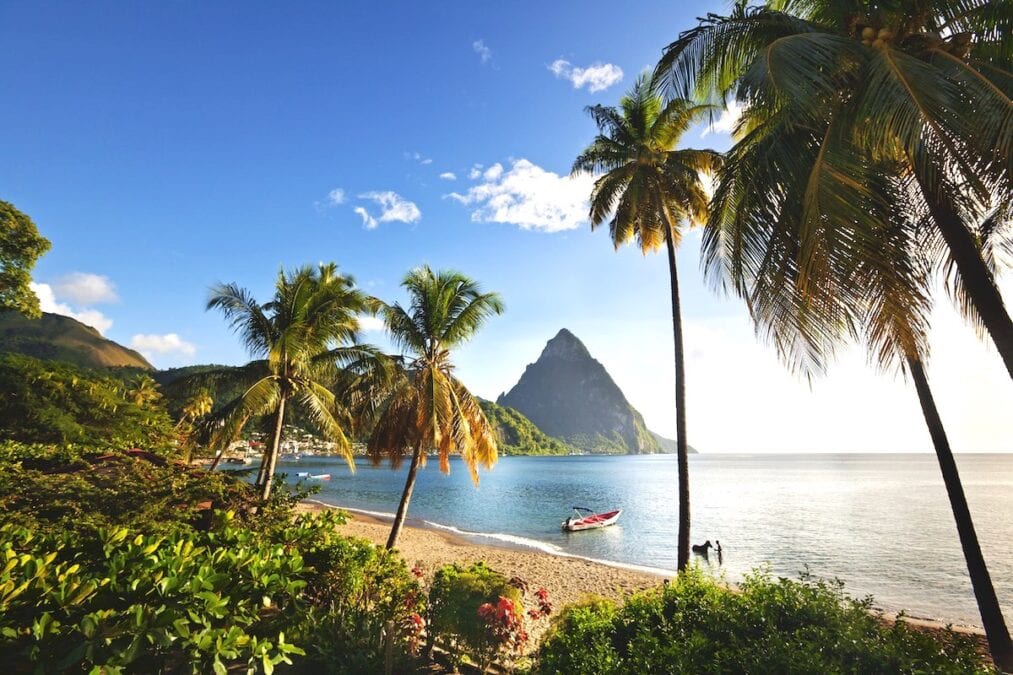 View of Soufriere seafront with palm trees in St. Lucia Credit Saint Lucia Tourism Authority