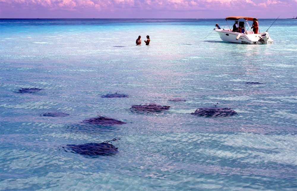 Stingray City in the Cayman Islands. 
