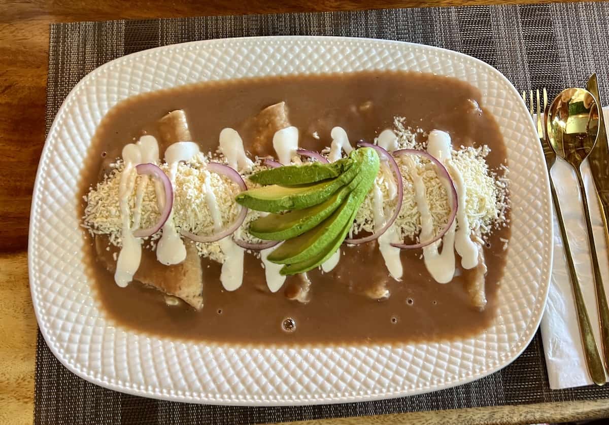 Enfrijoladas Oaxaqueñas on a white plate. 