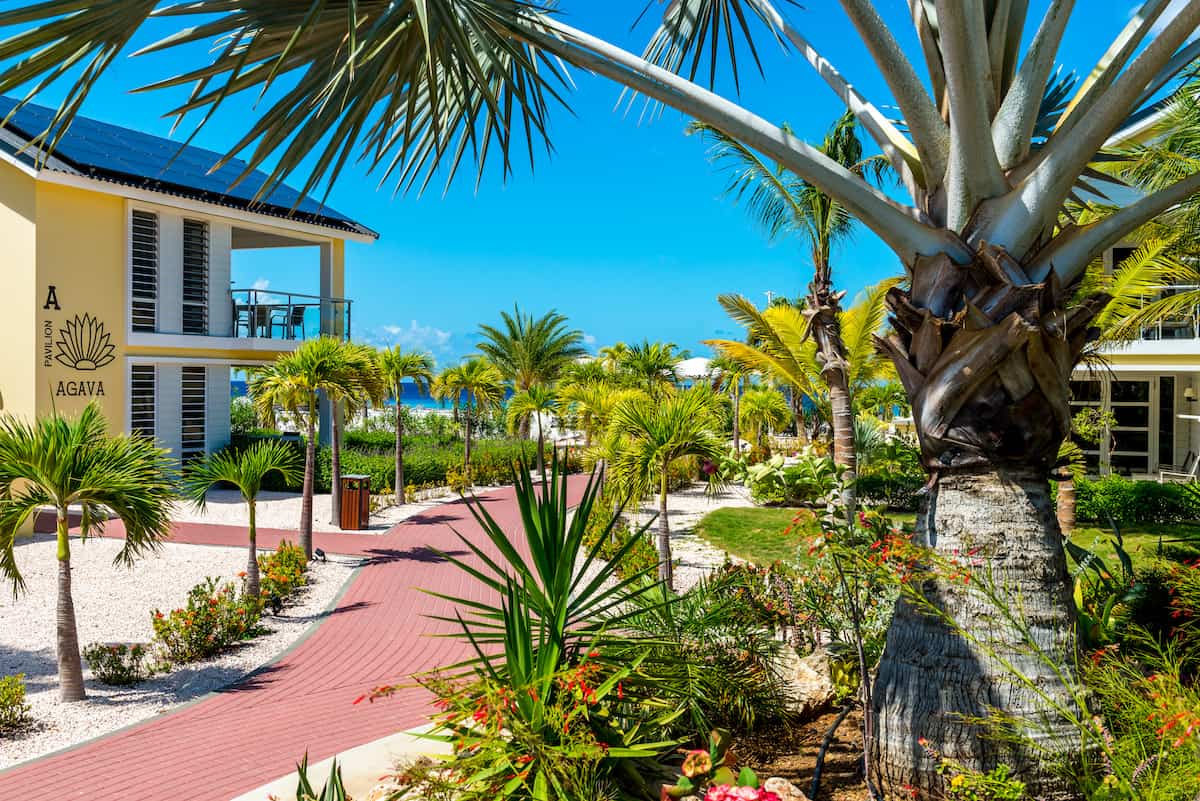 Tropical gardens at Delfins Beach Resort on Bonaire.