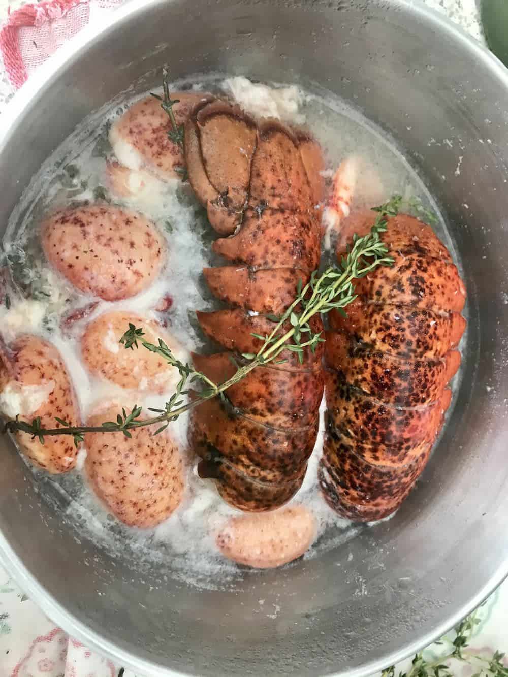 Lobster poaching in wine in a steel pot.