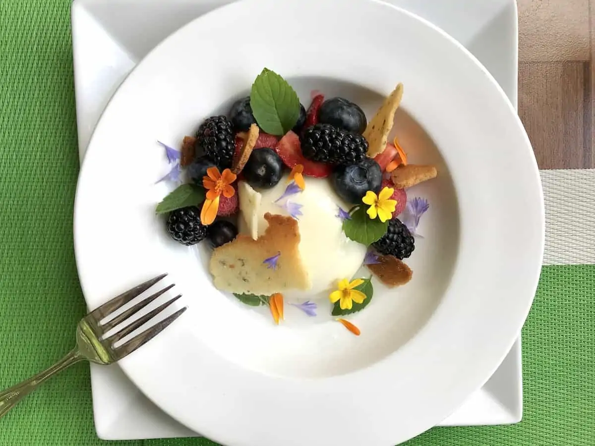 A white dish with seasonal fruit panna cotta with pine needle syrup.