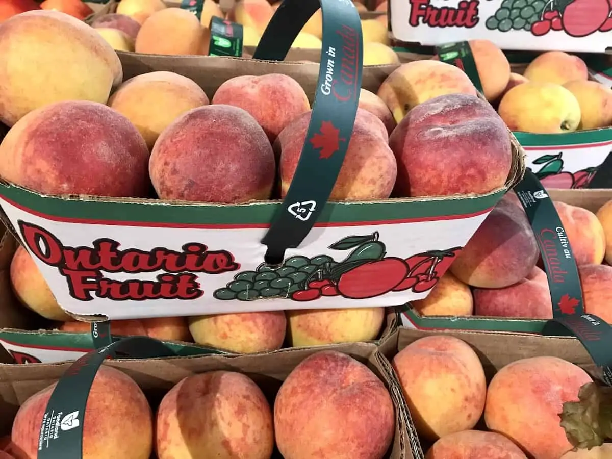 Baskets of fresh Ontario peaches.