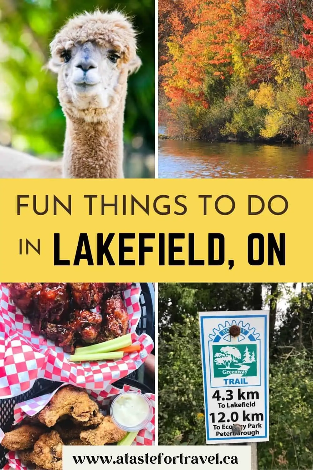 Collage of images of Lakefield, Ontario.