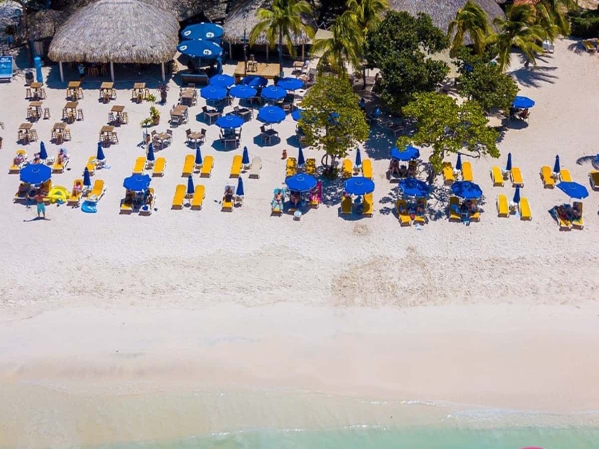 An overhead view of the beach with lots of blue and yellow chairs and umbrellas