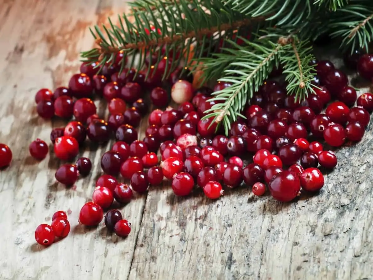 Fresh cranberries on an old wooden table.