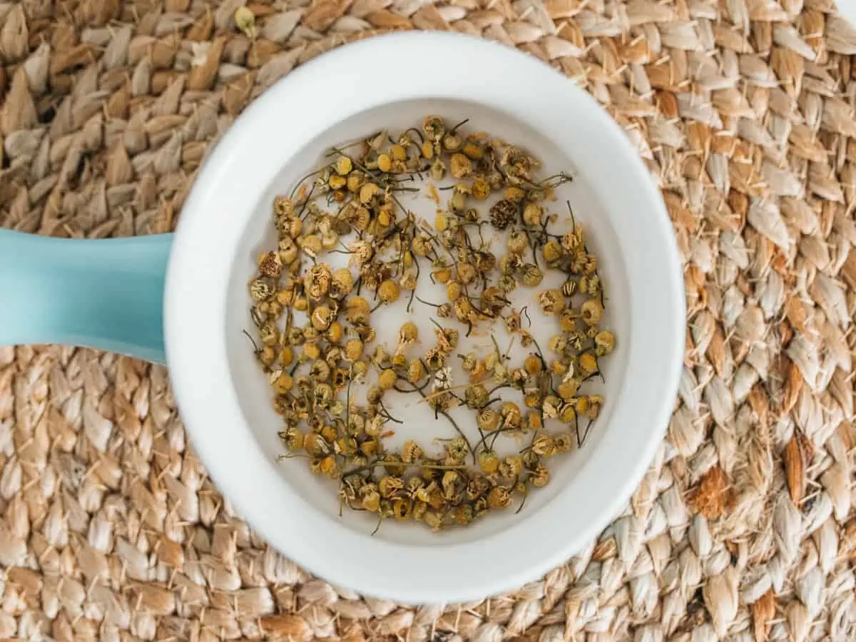 a blue pot filled with chamomile tea leaves on a woven mat.
