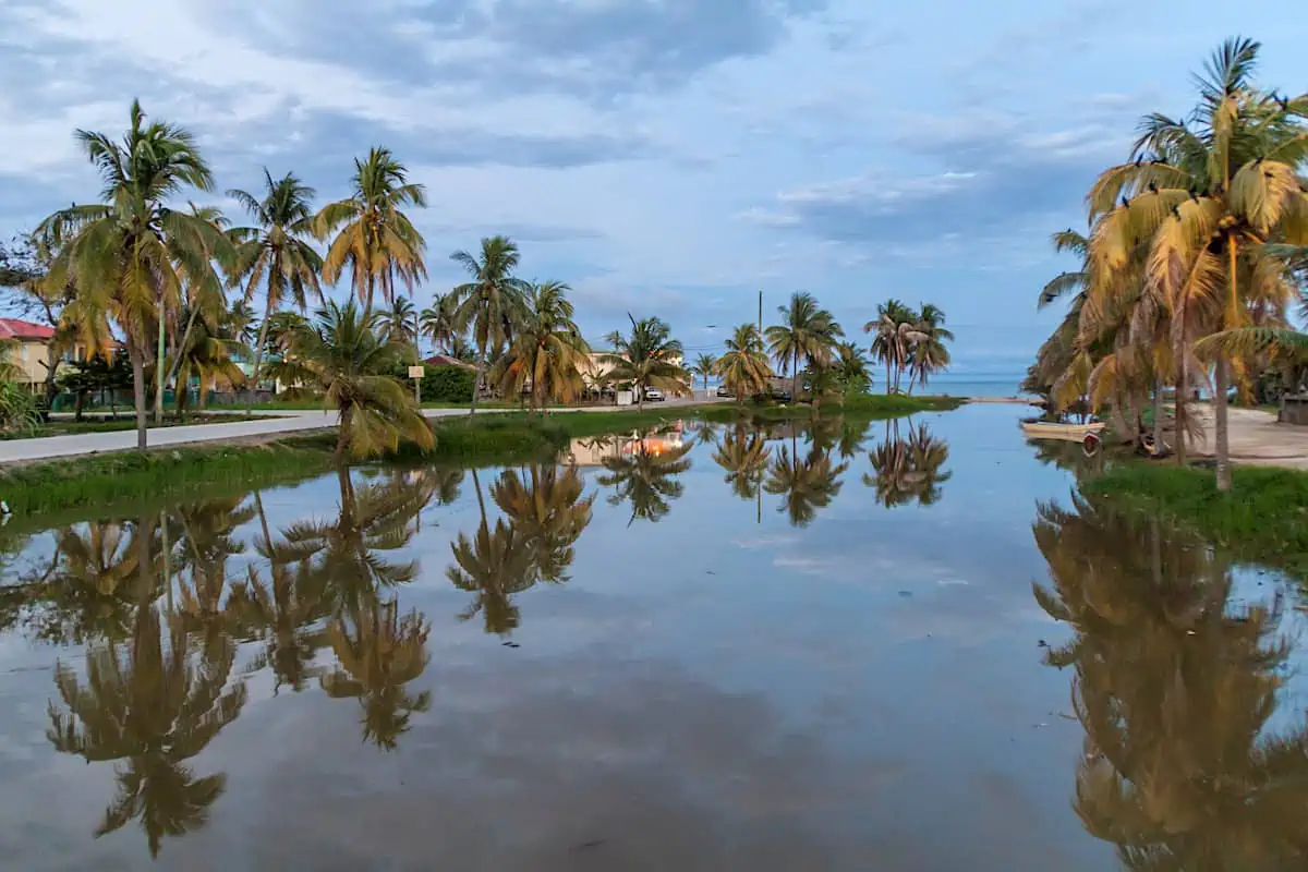 View of the river with palm trees in Dangriga, Belize.