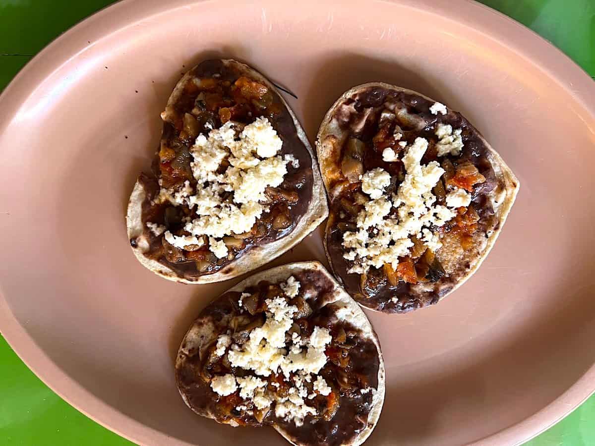 Oaxacan sopes made with mushrooms served on a brown plate.