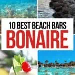 Collage of four images of Bonaire including snorkeling, beach bars and cocktails.