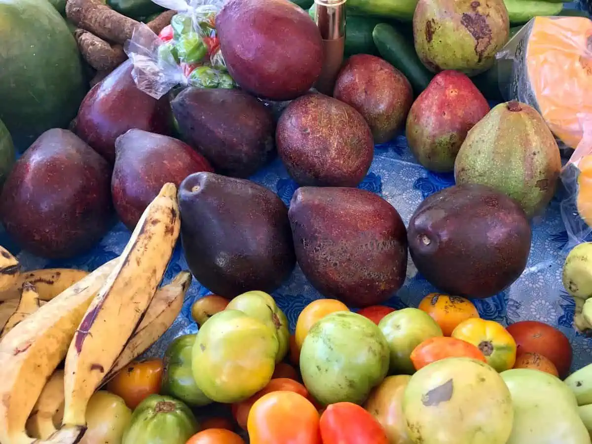 Tropical fruit in the Caribbean.