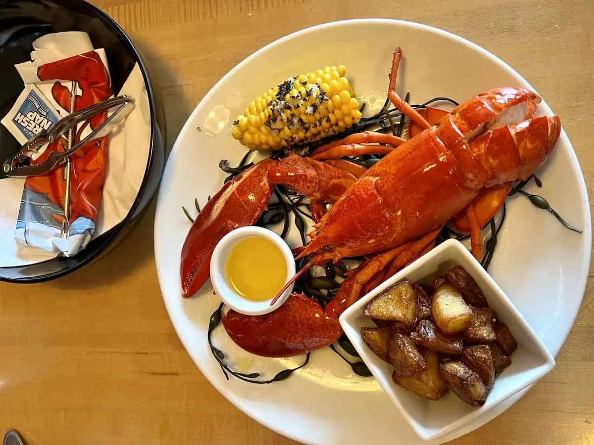 Whole steamed Maine lobster on a white plate at Bar Harbor