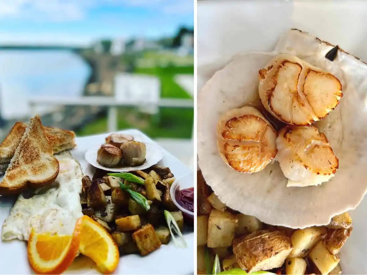 A collage of Digby scallops in Nova Scotia. 