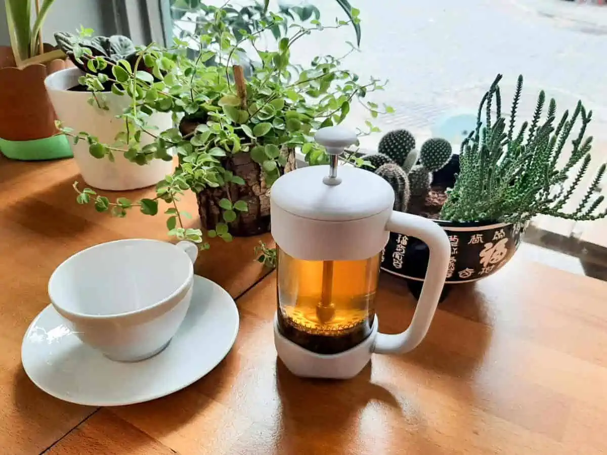 Turkish Herbal Tea on table with cup and plants.