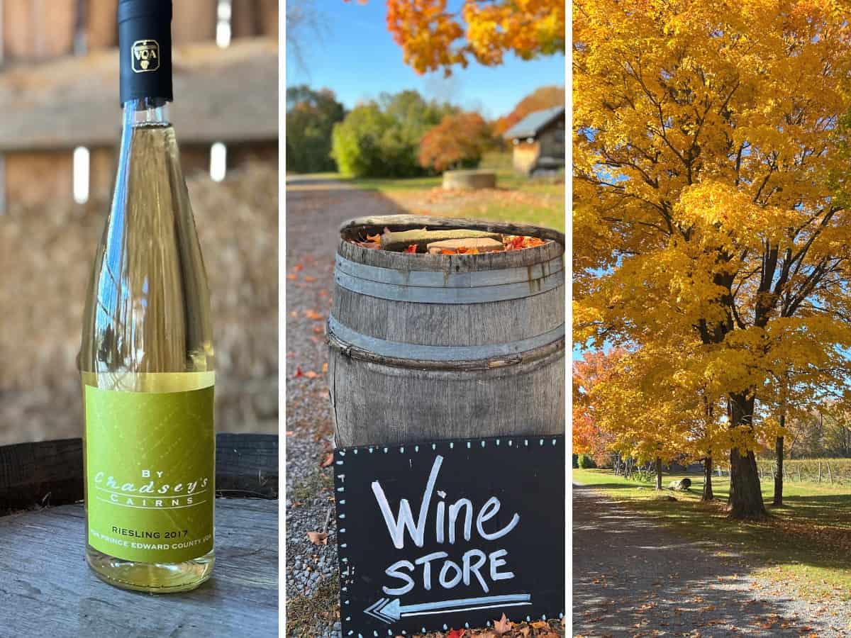 Ontario Riesling wine and fall foliage. 
