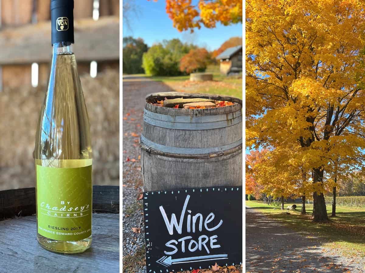 Ontario Riesling wine and fall foliage.