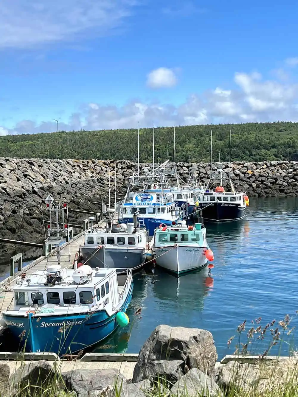 Second Secret Sightseeing boat in the harbour in Tiverton, Nova Scotia.