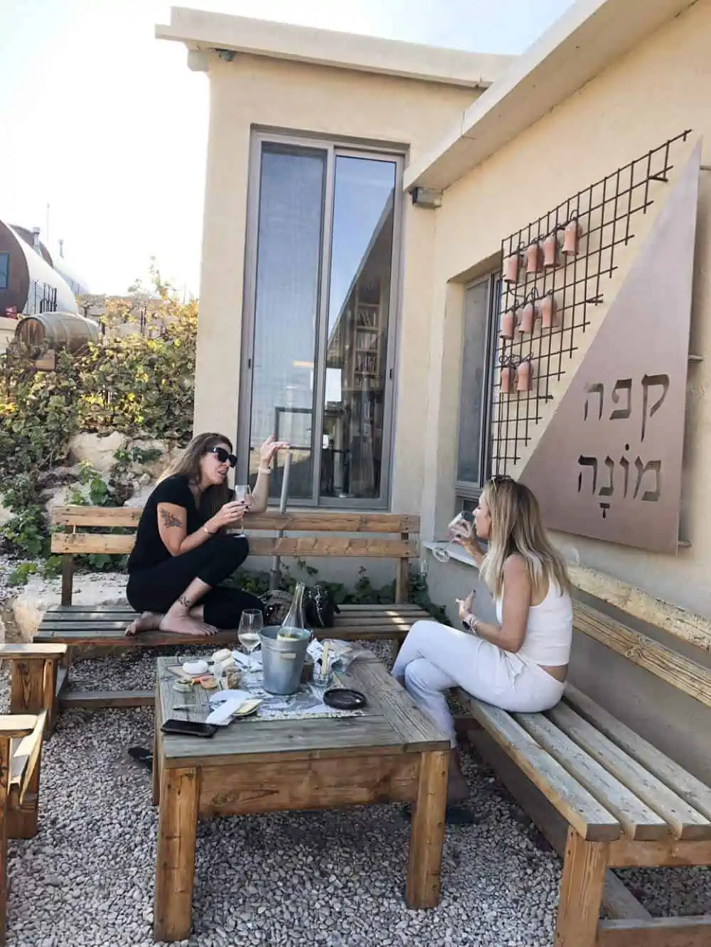 Two women enjoying a glass of wine at Carmey Avdat farm outside.