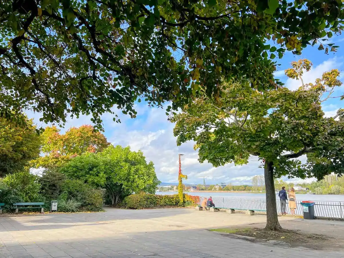 People enjoying the view on AdenauerUfer in Mainz.