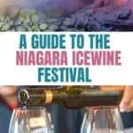 Collage of a woman pouring icewine and Niagara Falls in the winter.