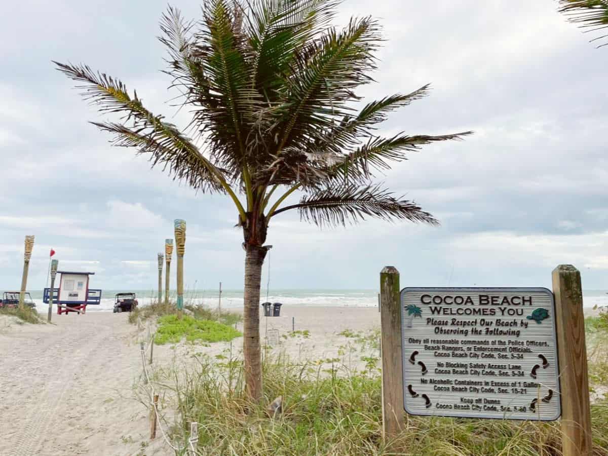 Cocoa Beach entrance with sign and palm tree. 