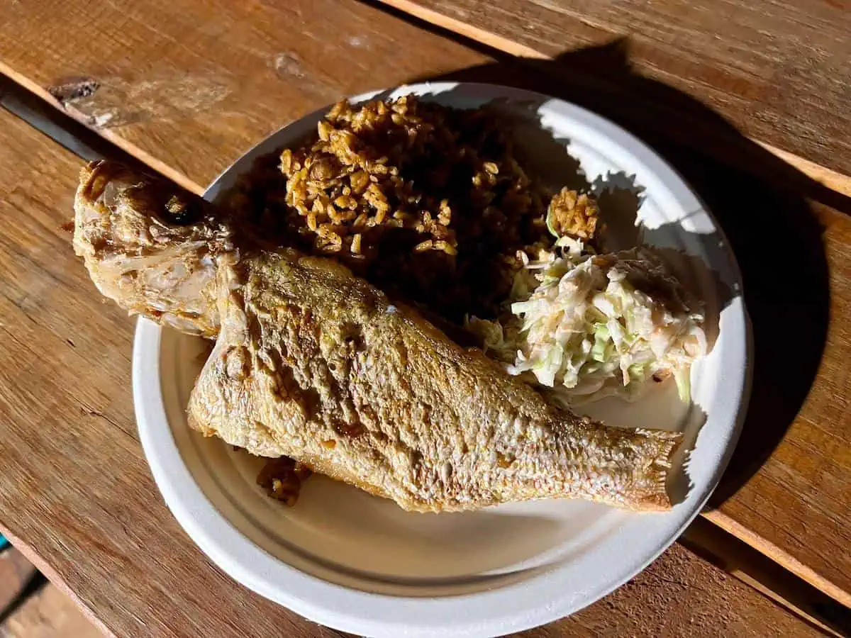 Fish dinner on plate on table. 