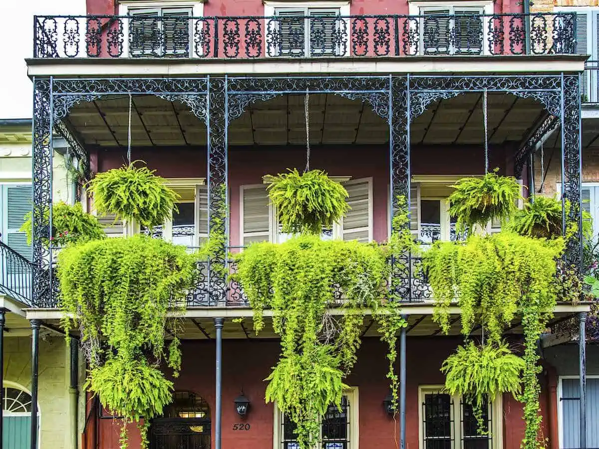 Historic architecture in the French Quarter of New Orleans. 