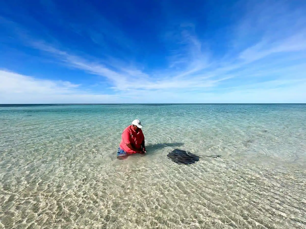 Man with stingray in ocean. 
