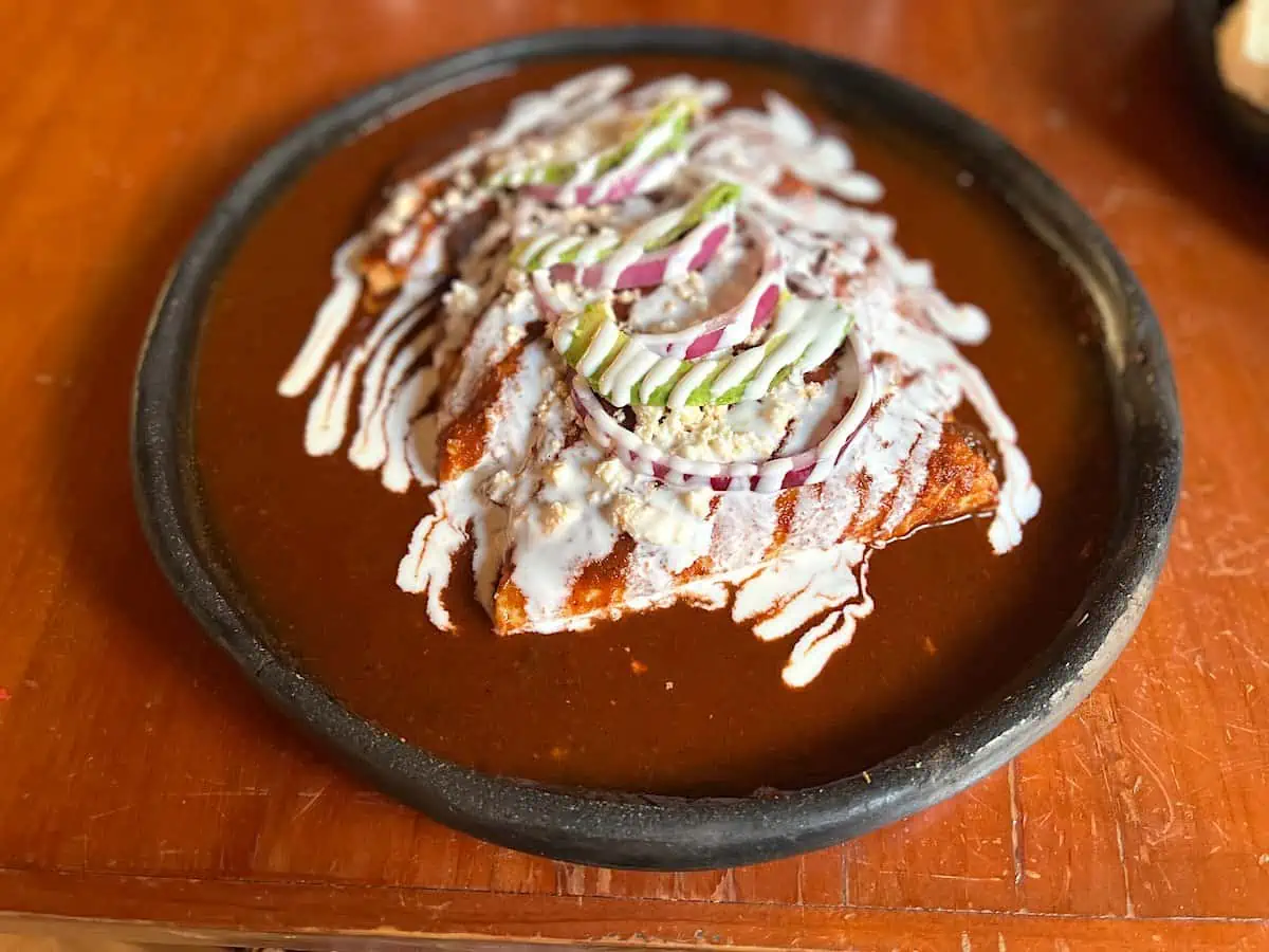 Mushroom enchilada in salsa roja.
