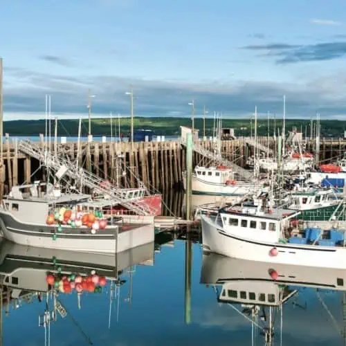 Fishing boats in Digby, Nova Scotia.