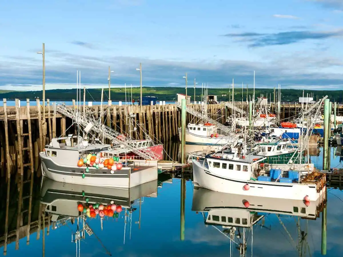 Fishing boats in the harbour in Digby, Nova Scotia.  