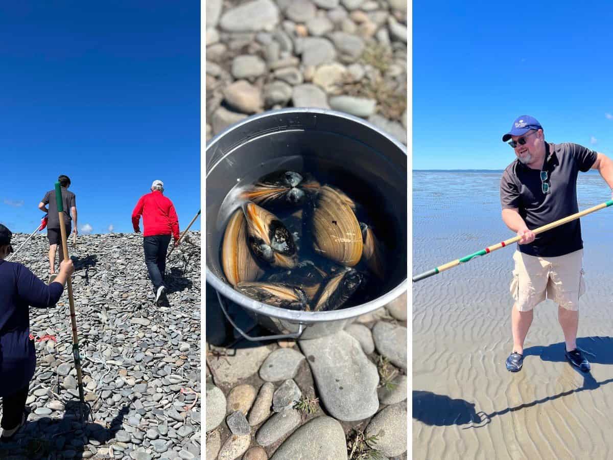 Travel writer Tim Johnson digging clams in Nova Scotia.