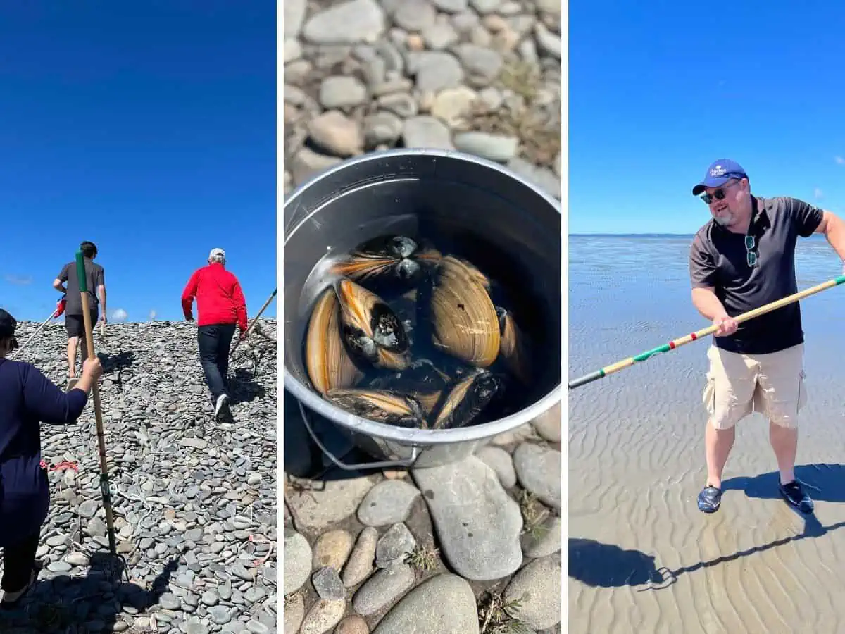 Travel writer Tim Johnson digging clams in Nova Scotia. 