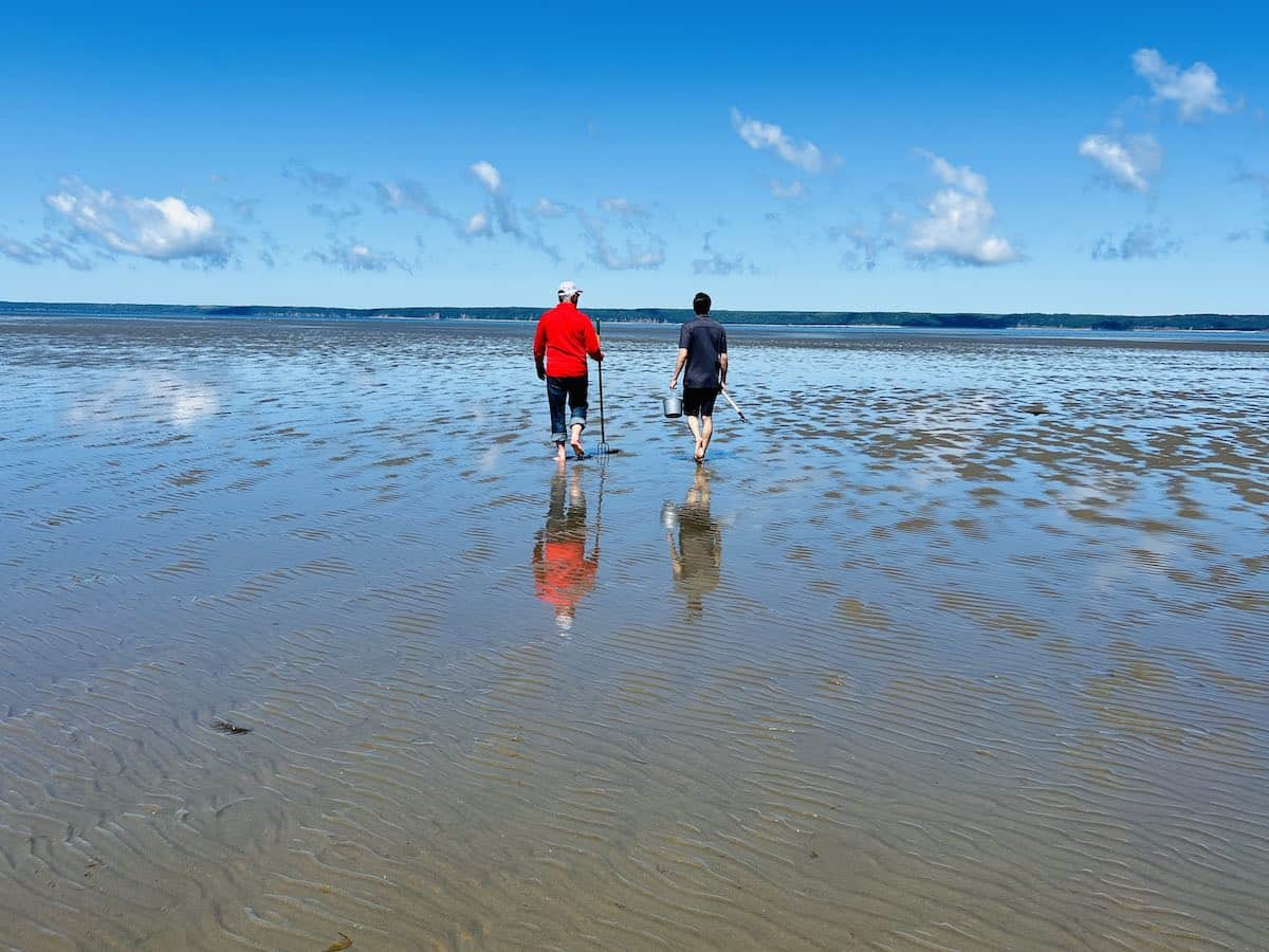 Two people clam-digging at Belliveau Cove in Nova Scotia.