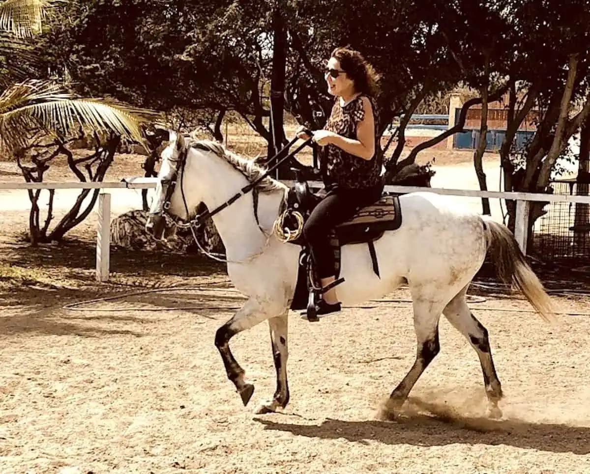 Paso Finos don’t bounce you around when they trot like this beauty at Rancho de la Ponderosa. (Credit: Sue Campbell)