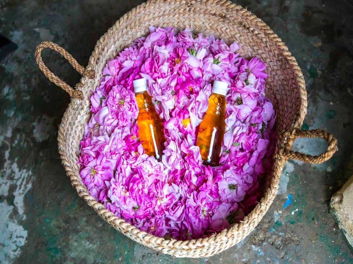 Basket with purple flowers and rosewater bottles.