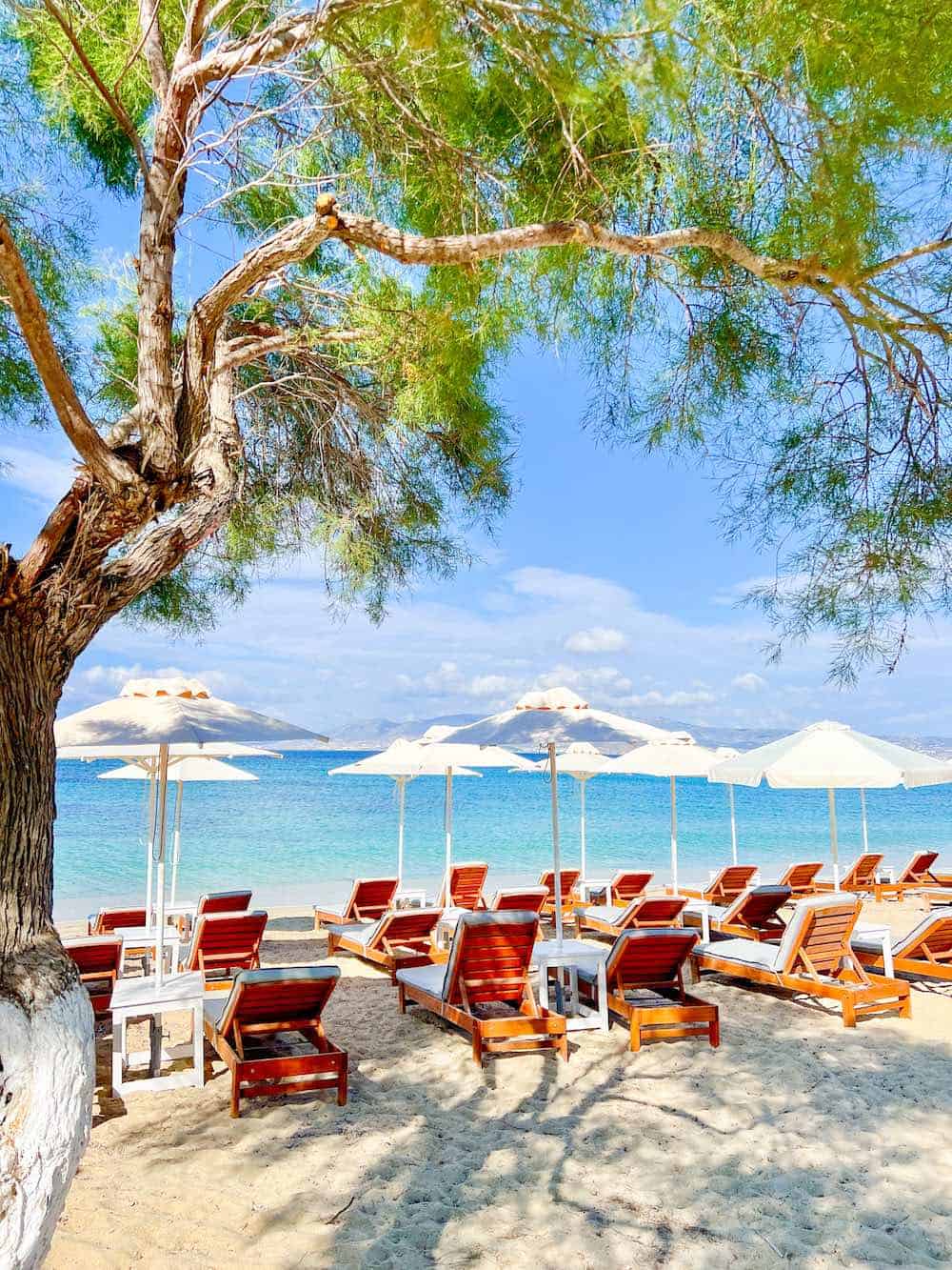 Sunbeds at Nikos restaurant at Agios Prokopios Beach. 