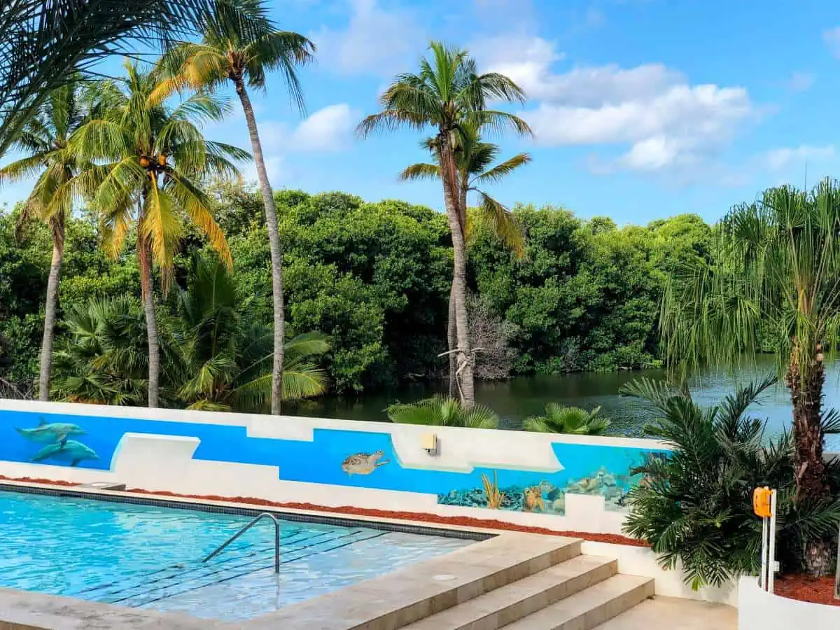 Mangrove Beach Corendon Curaçao pool with palm trees. 