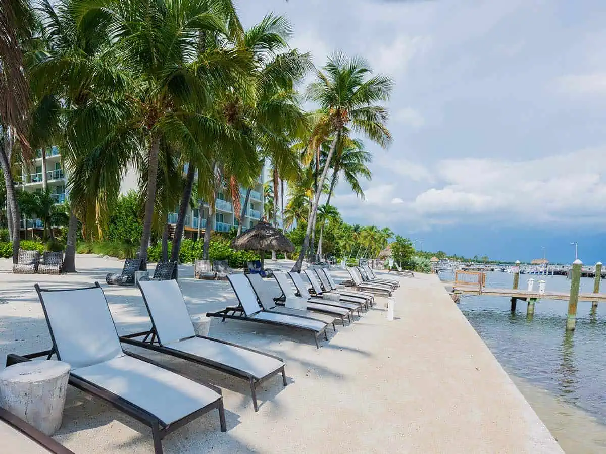 Beach Loungers with palm trees.