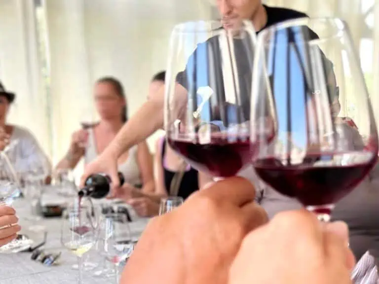 A group of people at a wine tasting in Santorini.