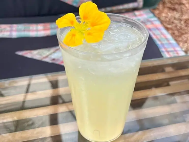 A close-up of a limonada with a flower garnish.