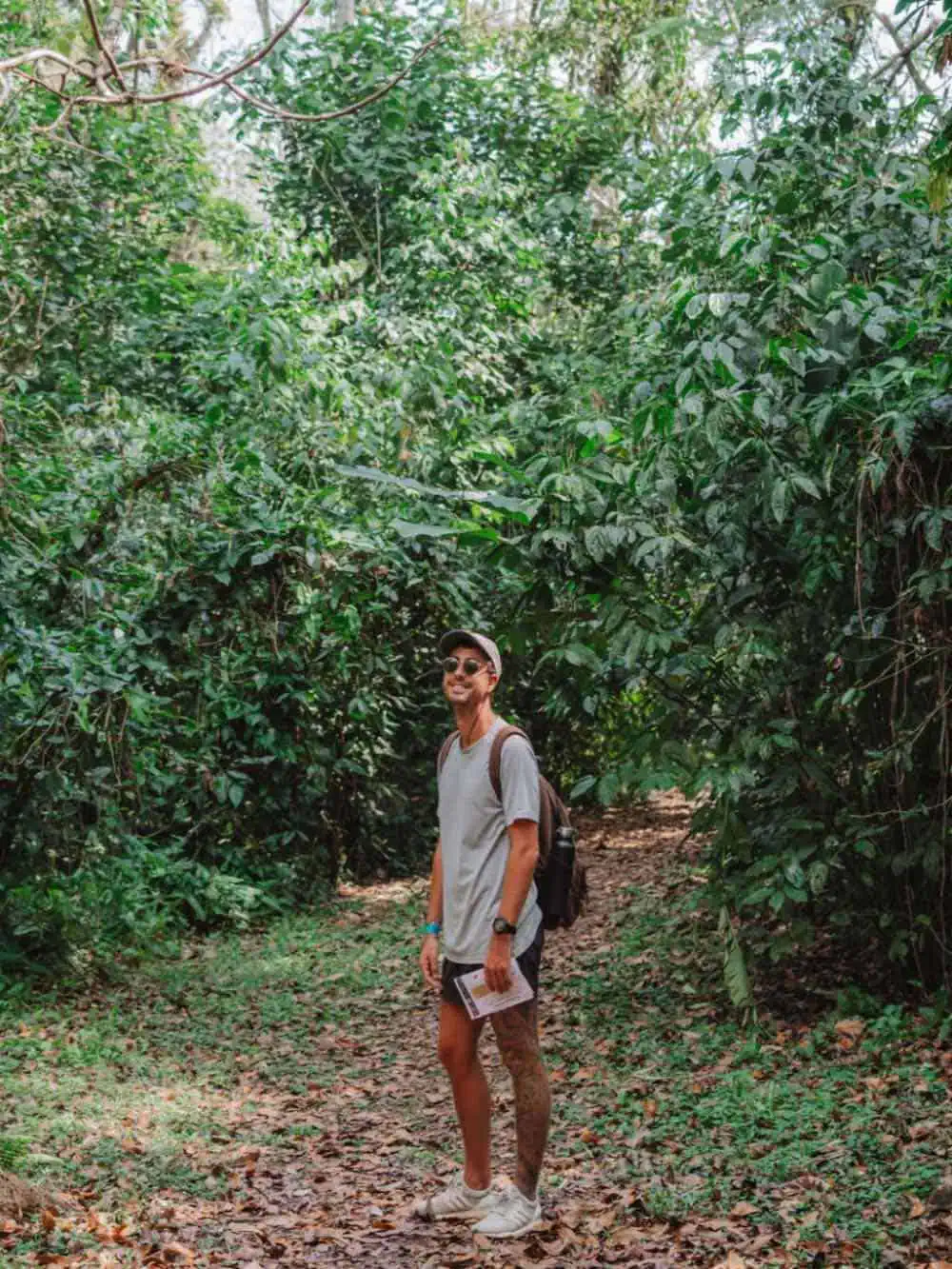 Man enjoying some rainforest hiking.