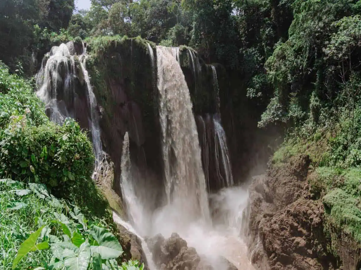Waterfall in the jungle. 