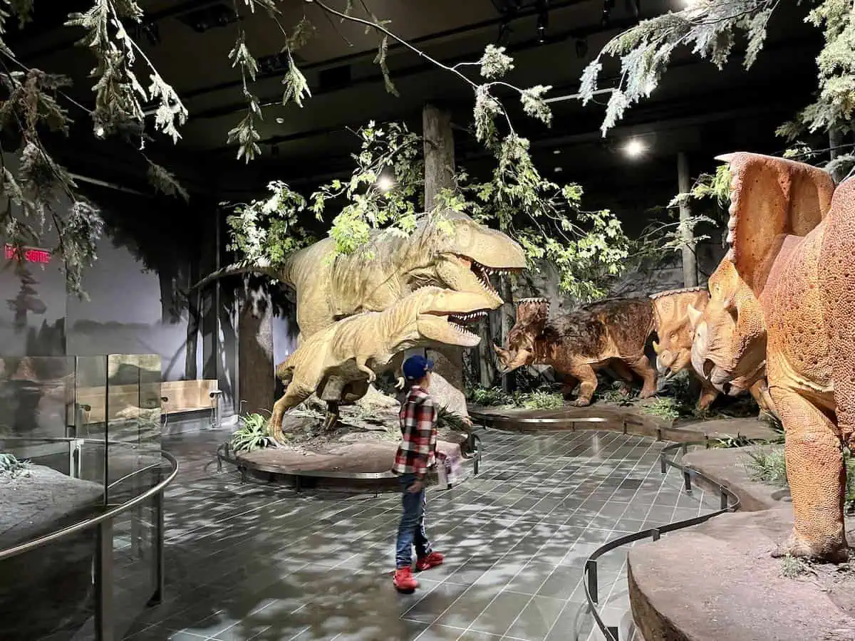 Boy with life-sized dinosaurs in the Canadian Museum of Nature.