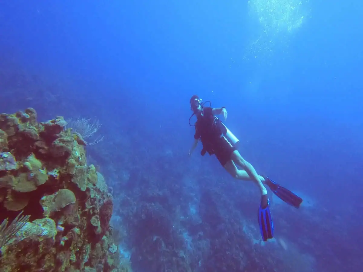 Person Scuba Diving in Honduras.