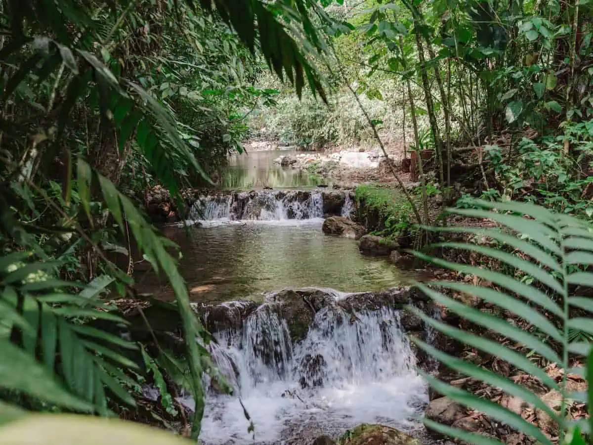 Gorgeous rainforest with waterfalls in Honduras. 