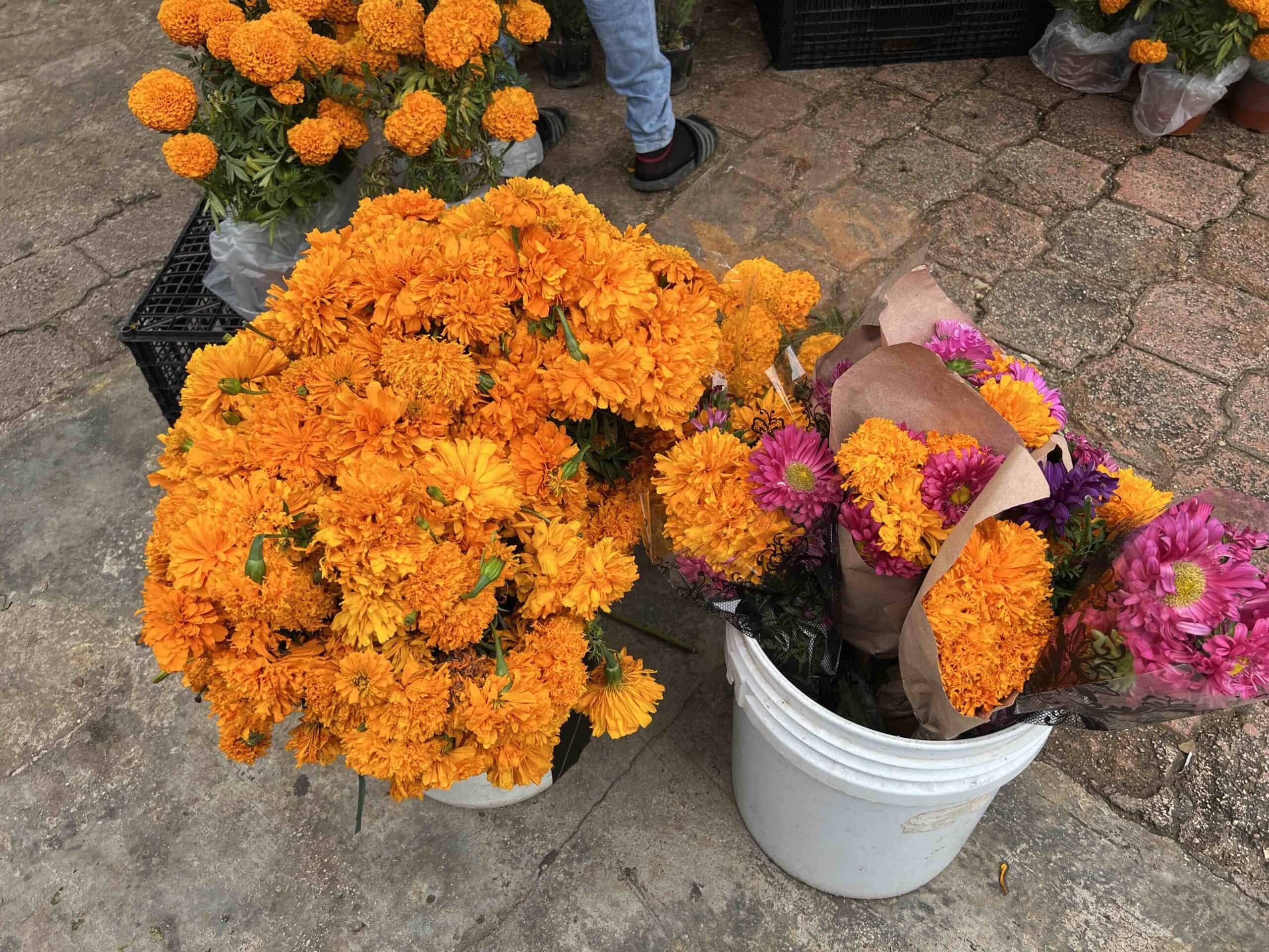 Cempasúchil flowers in Mercado 23 in Cancun for Dia de los Muertos.
