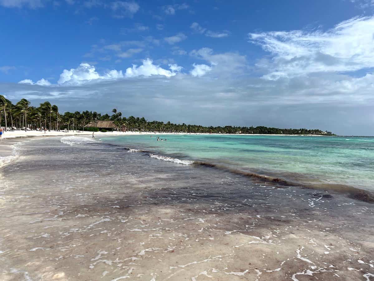 Sargassum beach at BarcelĂł Maya Caribe in Puerto Aventuras.