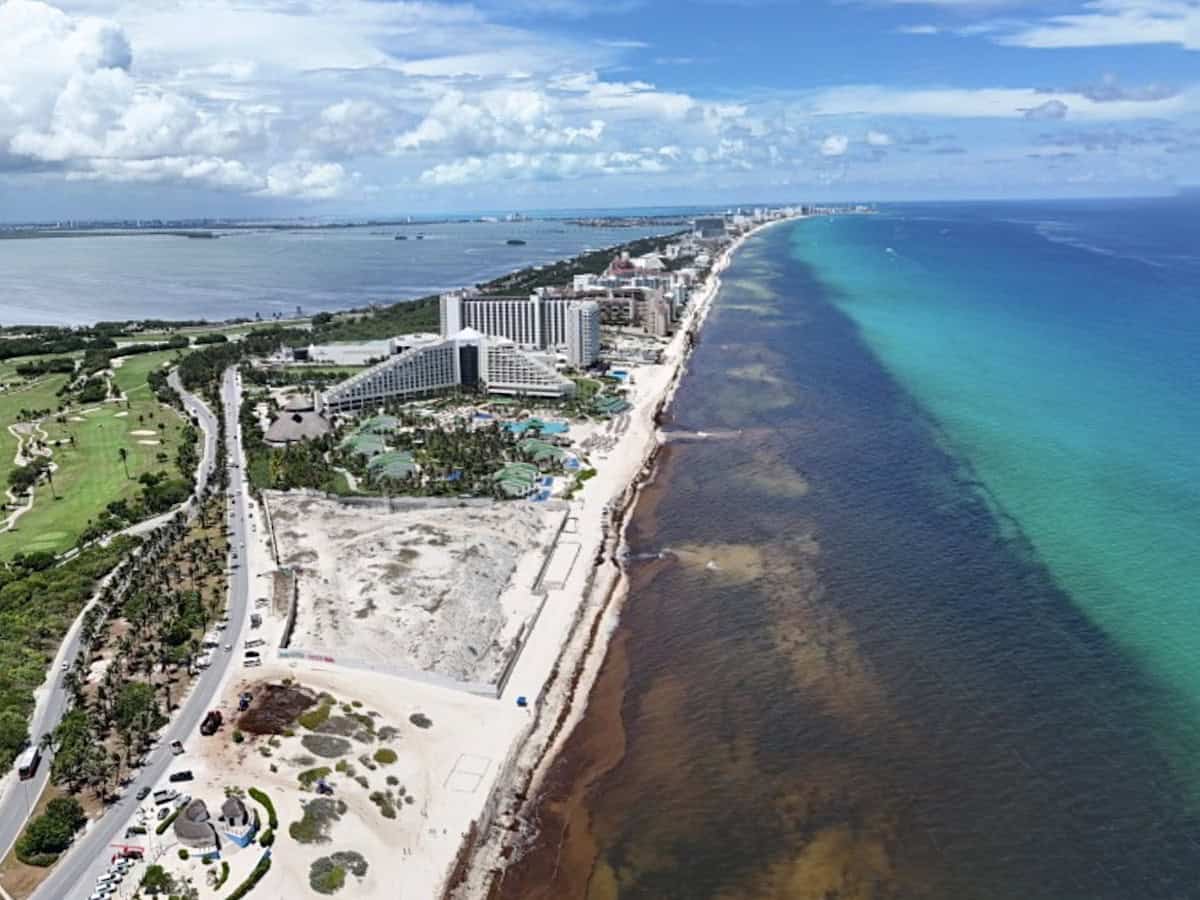 View of Cancun seaweed in August 2025. 